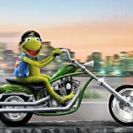 Kermit