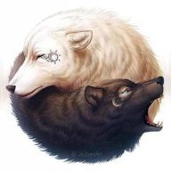 mjrwraith