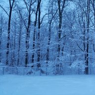 WinterRat