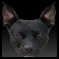 Mewn