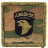 101ST AASLT