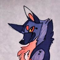 barkydoggo