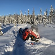 SledAlaska