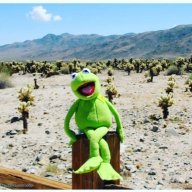 KvilleKermit