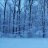 WinterRat