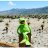 KvilleKermit
