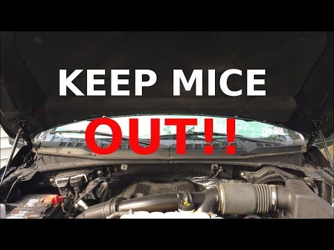 www.youtube.com