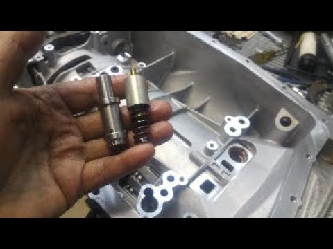www.youtube.com